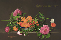 "APRICOTS AND PEONIES"